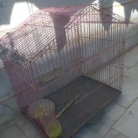 قفس پرنده|لوازم جانبی حیوانات|فردیس, شهرک ۱۱۰|دیوار