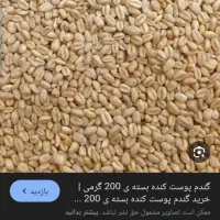گندم یا نخود میخوام