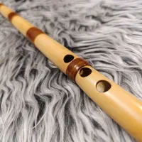 ساز نی هفت بند