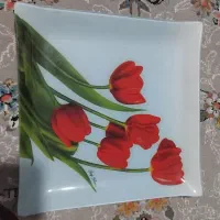 سرویس قهوه خوری.عصرانه خوری