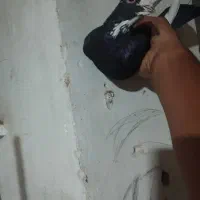 کبوتر کفتر پلنگ