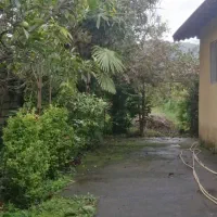 باغ ویلا ۲۷۰۰ متری بر اتوبان قابل تهاتر|فروش زمین و ملک کلنگی|رامسر, |دیوار