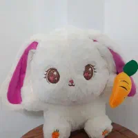 تولیدی|اسباببازی|لاهیجان, کوی زمانی|دیوار