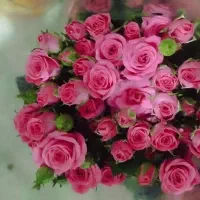 دسته گل|گل و گیاه طبیعی|اندیمشک, |دیوار