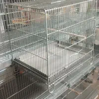 قفس پرنده|لوازم جانبی حیوانات|ری, جوانمرد قصاب|دیوار