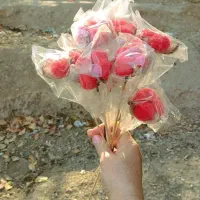 گل خشک و پنبه شاخه ای|گل مصنوعی|تهران, تاکسیرانی|دیوار