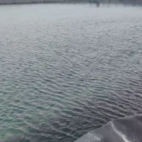 ورق ژئوممبران برای عایق کردن استخر ذخیره آب|خدمات پیشه و مهارت|ساوه, |دیوار