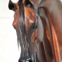 تندیس اسب عرب|اسب و تجهیزات اسبسواری|یزد, |دیوار