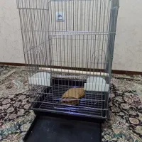 قفس پرنده بزرگ