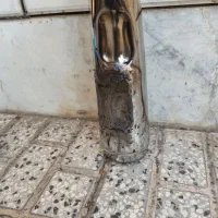 اگزوز 150 نیکتاز بدون پرده|موتورسیکلت|شاهرود, |دیوار