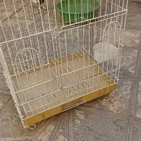 قفس پرنده|لوازم جانبی حیوانات|شیراز, قلعه نو|دیوار