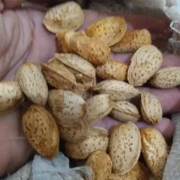 بادام