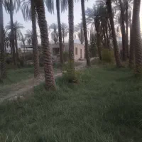 خانه باغ در شهداد