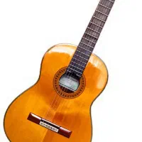 آموزش گیتار پاپ و کلاسیک