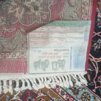 فرش ماشینی ۱۲ متری|فرش|بهار, |دیوار
