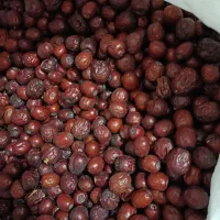 عناب|خوردنی و آشامیدنی|بیرجند, |دیوار