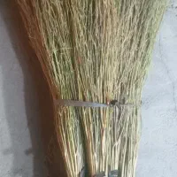جاروی دستی