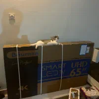 تلویزیون ۶۵ اینج مناسب جهیزیه اکبند پلمپ