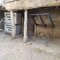 مقداری وسایل میو فروشی|عمده‌فروشی|سمیرم, |دیوار