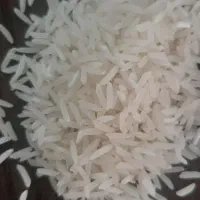 برنج فجر سوزنی ۱۲۰ روزه مستقیم از کشاورز|خوردنی و آشامیدنی|گرگان, |دیوار