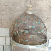 قفس ترقه و قناری