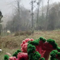 فروش انواع لباس و باف|لباس|سیاهکل, |دیوار