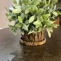 گل و گلدان ایکیا