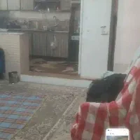 رهن کامل اپارتمان|اجارهٔ آپارتمان|فسا, |دیوار