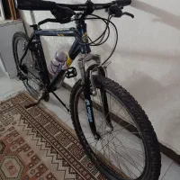 دوچرخه تایوانی