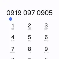 سیم کارت اعتباری ۰۹۱۹
