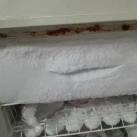 یخچال|یخچال و فریزر|ری, فیروزآبادی|دیوار