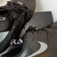 کفش مردانه|کیف، کفش، کمربند|گلبهار, شهر جدید گلبهار|دیوار