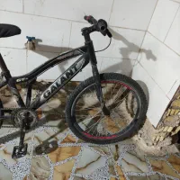 دوچرخه 24 گالانت