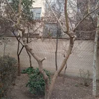 فروش ۹۸مترزمین در چهار طبقه بنا دلیری