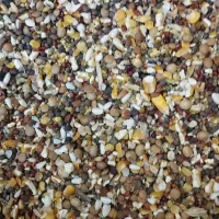 بورس خوراک پرندگان ( گل دانه)|لوازم جانبی حیوانات|قم, فرهنگیان و شهربانی|دیوار