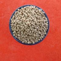 استخدام کاگر