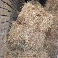 کاه|حیوانات مزرعه|شازند, |دیوار