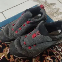 گربه خانگی|گربه|مشهد, ارشاد|دیوار