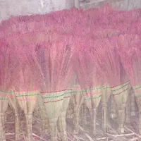 جاروی دستی ومحلی|لوازم نظافت|مراغه, |دیوار