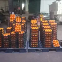 جذب سرمایه گذار ،مشارکت ،تره بار و مواد غذایی