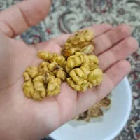گردو