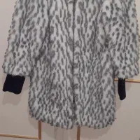 پالتو|لباس|اردبیل, |دیوار