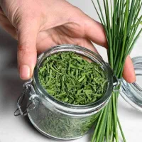 پیازچه خشک  و تازه|خوردنی و آشامیدنی|قم, حاج خلیل|دیوار