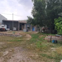 کارگر  دامداری