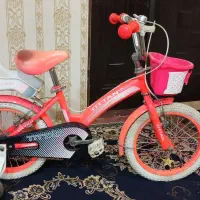 دوچرجه سایز۱۶ کم کار
