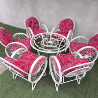 کالسکه ای مدل گلبرگ*/تضمین در کیفیت