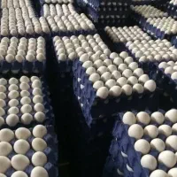 توزیع تخم مرغ مستقیم ازمرغداری به مغازه شما