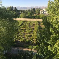 زمین-تجاری-100-درصد-تهاطر-ساماندهی-با-منطقه