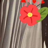 پیراهن مجلسی