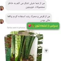 بررسی ،چکاپ تعویض خاک،کوددهی،حضوری گل وگیاه|گل و گیاه طبیعی|بیرجند, |دیوار